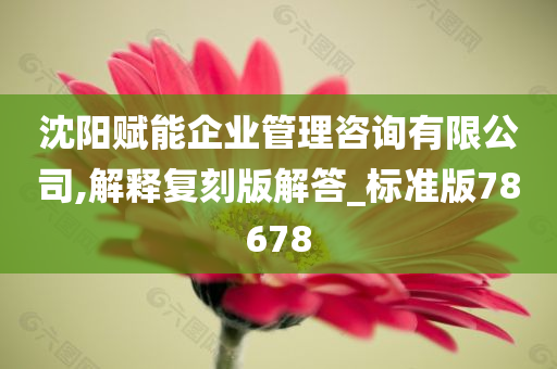 沈阳赋能企业管理咨询有限公司,解释复刻版解答_标准版78678