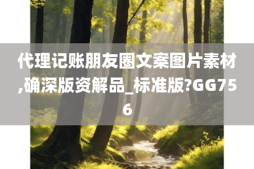 代理记账朋友圈文案图片素材,确深版资解品_标准版?GG756