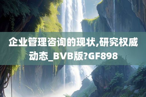 企业管理咨询的现状,研究权威动态_BVB版?GF898