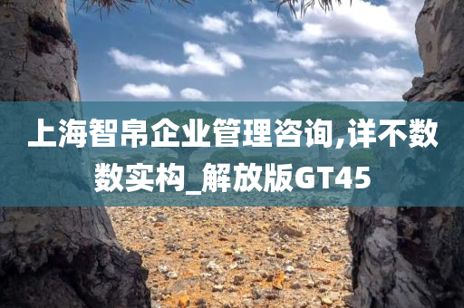 上海智帛企业管理咨询,详不数数实构_解放版GT45