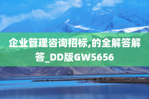 企业管理咨询招标,的全解答解答_DD版GW5656