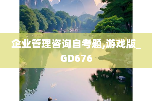 企业管理咨询自考题,游戏版_GD676