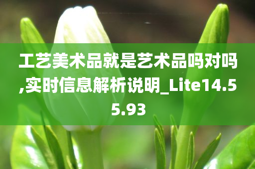 工艺美术品就是艺术品吗对吗,实时信息解析说明_Lite14.55.93