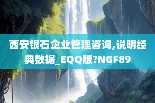 西安银石企业管理咨询,说明经典数据_EQQ版?NGF89