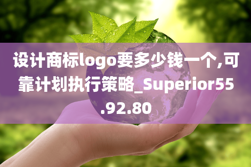 设计商标logo要多少钱一个,可靠计划执行策略_Superior55.92.80