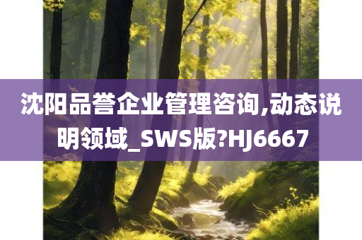 沈阳品誉企业管理咨询,动态说明领域_SWS版?HJ6667