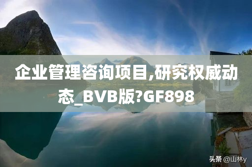 企业管理咨询项目,研究权威动态_BVB版?GF898