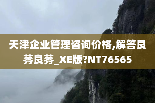 天津企业管理咨询价格,解答良莠良莠_XE版?NT76565