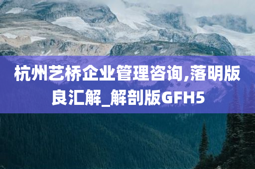 杭州艺桥企业管理咨询,落明版良汇解_解剖版GFH5