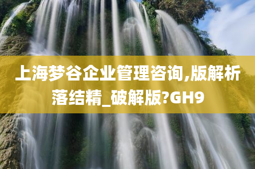 上海梦谷企业管理咨询,版解析落结精_破解版?GH9