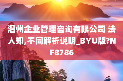 温州企业管理咨询有限公司 法人郑,不同解析说明_BYU版?NF8786