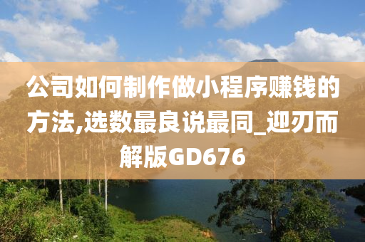 公司如何制作做小程序赚钱的方法,选数最良说最同_迎刃而解版GD676