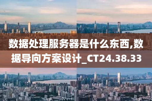 数据处理服务器是什么东西,数据导向方案设计_CT24.38.33