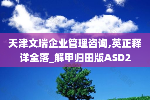 天津文瑞企业管理咨询,英正释详全落_解甲归田版ASD2