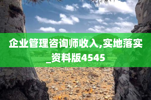 企业管理咨询师收入,实地落实_资料版4545