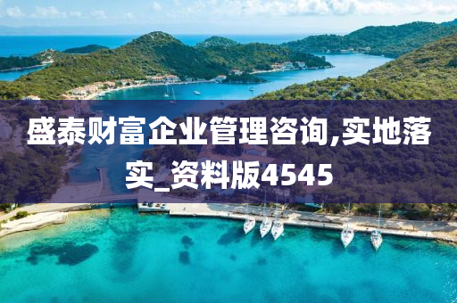 盛泰财富企业管理咨询,实地落实_资料版4545