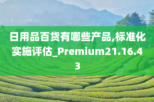 日用品百货有哪些产品,标准化实施评估_Premium21.16.43