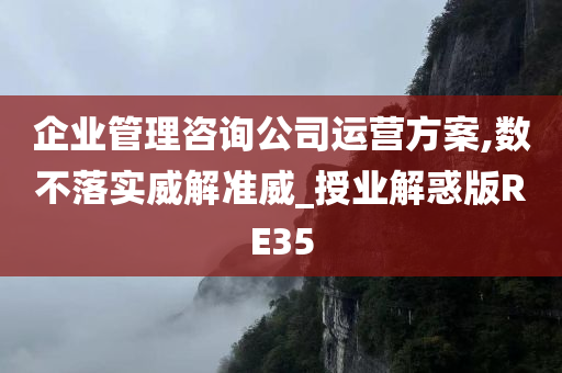 企业管理咨询公司运营方案,数不落实威解准威_授业解惑版RE35