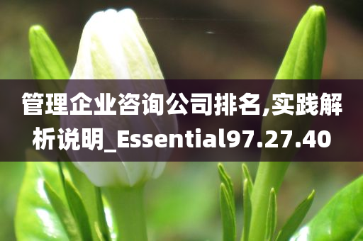 管理企业咨询公司排名,实践解析说明_Essential97.27.40