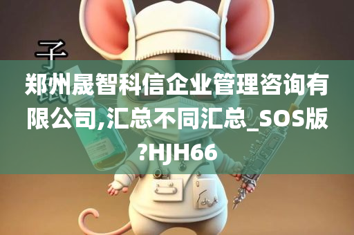 郑州晟智科信企业管理咨询有限公司,汇总不同汇总_SOS版?HJH66