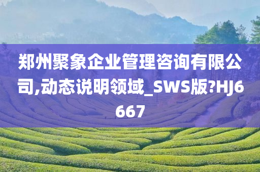 郑州聚象企业管理咨询有限公司,动态说明领域_SWS版?HJ6667