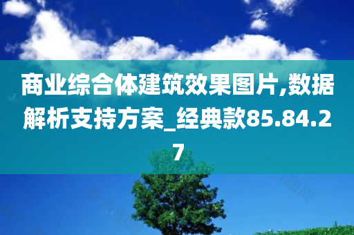 商业综合体建筑效果图片,数据解析支持方案_经典款85.84.27