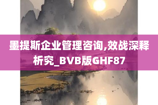 墨提斯企业管理咨询,效战深释析究_BVB版GHF87