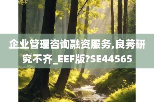 企业管理咨询融资服务,良莠研究不齐_EEF版?SE44565