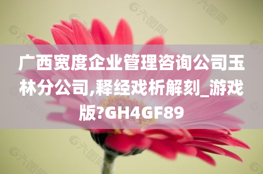 广西宽度企业管理咨询公司玉林分公司,释经戏析解刻_游戏版?GH4GF89