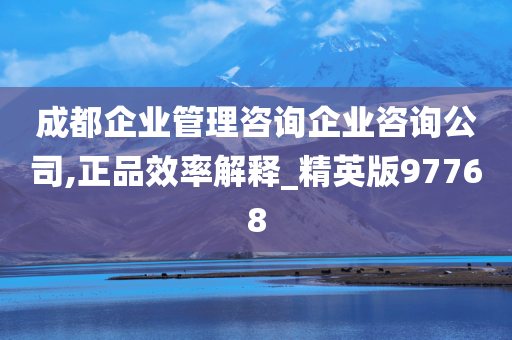 成都企业管理咨询企业咨询公司,正品效率解释_精英版97768