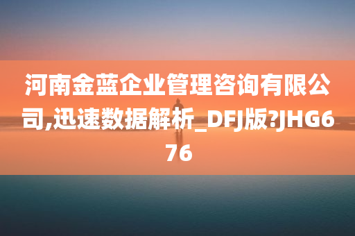 河南金蓝企业管理咨询有限公司,迅速数据解析_DFJ版?JHG676