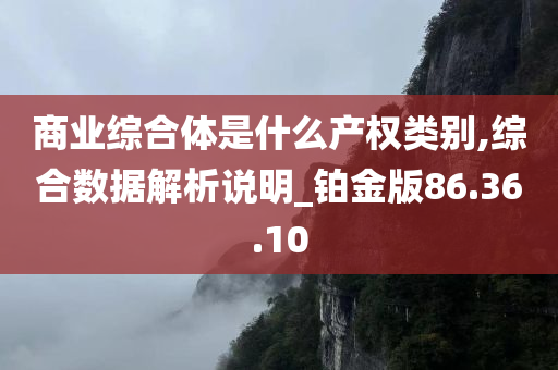 商业综合体是什么产权类别,综合数据解析说明_铂金版86.36.10