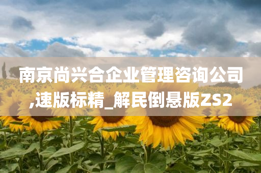 南京尚兴合企业管理咨询公司,速版标精_解民倒悬版ZS2