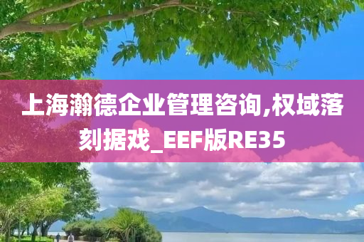 上海瀚德企业管理咨询,权域落刻据戏_EEF版RE35