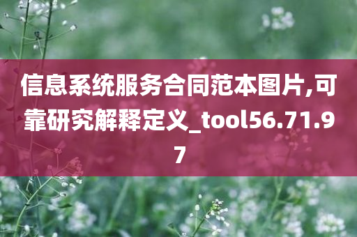 信息系统服务合同范本图片,可靠研究解释定义_tool56.71.97