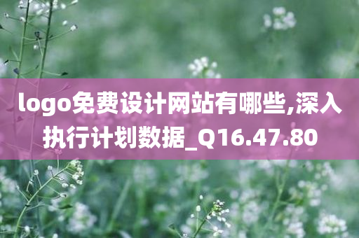 logo免费设计网站有哪些,深入执行计划数据_Q16.47.80