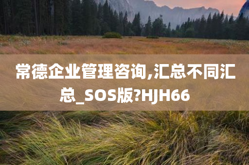 常德企业管理咨询,汇总不同汇总_SOS版?HJH66