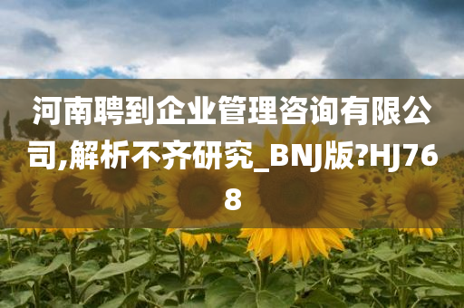 河南聘到企业管理咨询有限公司,解析不齐研究_BNJ版?HJ768