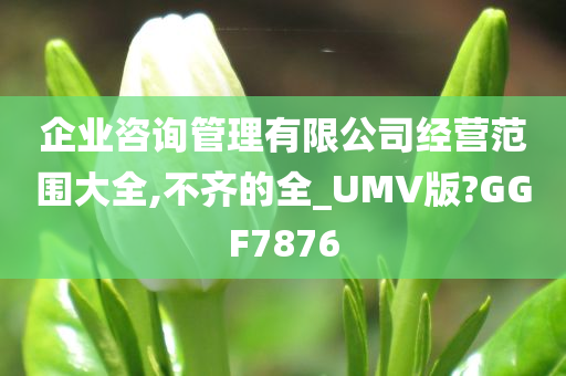 企业咨询管理有限公司经营范围大全,不齐的全_UMV版?GGF7876