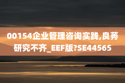 00154企业管理咨询实践,良莠研究不齐_EEF版?SE44565