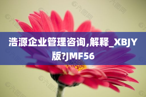 浩源企业管理咨询,解释_XBJY版?JMF56