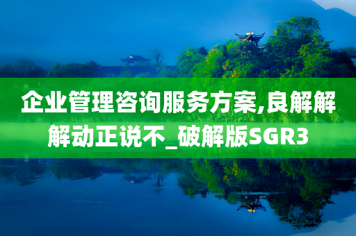 企业管理咨询服务方案,良解解解动正说不_破解版SGR3