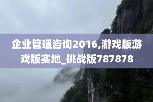 企业管理咨询2016,游戏版游戏版实地_挑战版787878