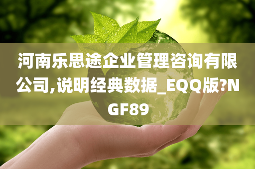 河南乐思途企业管理咨询有限公司,说明经典数据_EQQ版?NGF89