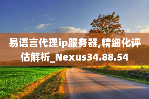 易语言代理ip服务器,精细化评估解析_Nexus34.88.54