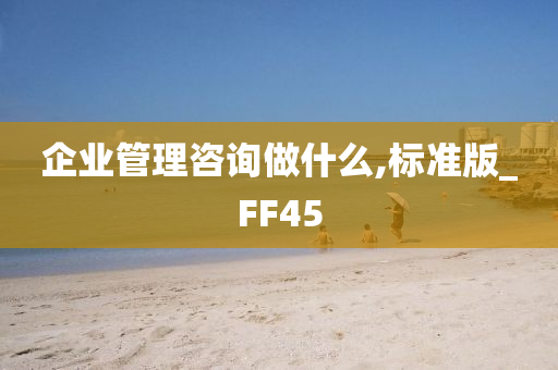 企业管理咨询做什么,标准版_FF45