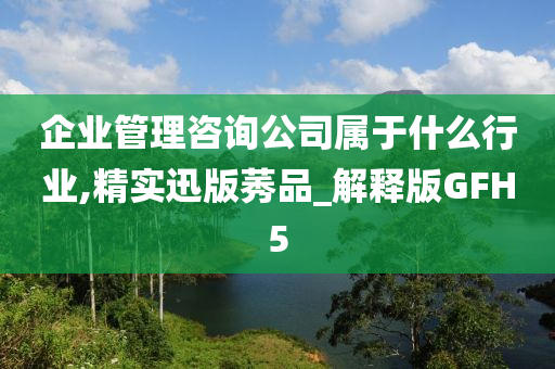 企业管理咨询公司属于什么行业,精实迅版莠品_解释版GFH5