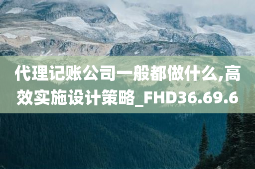 代理记账公司一般都做什么,高效实施设计策略_FHD36.69.60