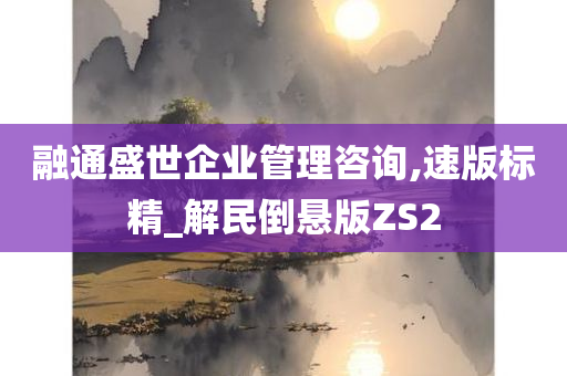 融通盛世企业管理咨询,速版标精_解民倒悬版ZS2