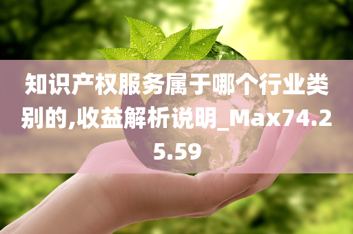 知识产权服务属于哪个行业类别的,收益解析说明_Max74.25.59